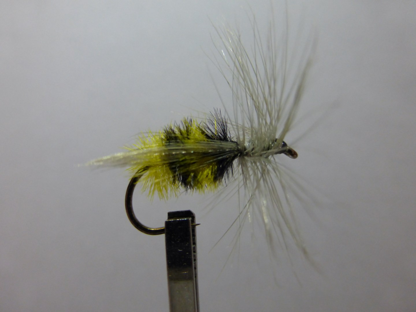 Size 10 Bumble Bee